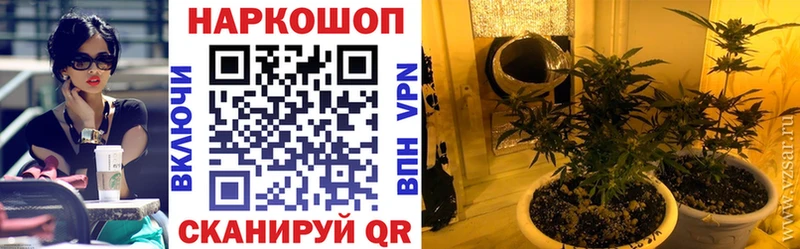 Купить наркотики сайты Новочебоксарск Гашиш Бошки Шишки АМФ Мефедрон