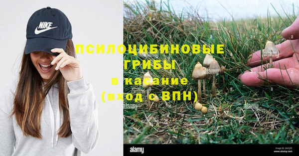 спиды Михайловка