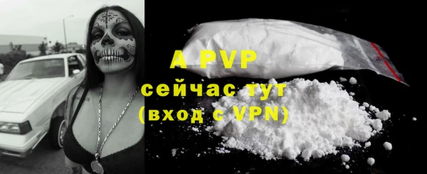 метадон Михайлов