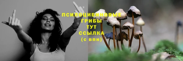 бутират Наволоки