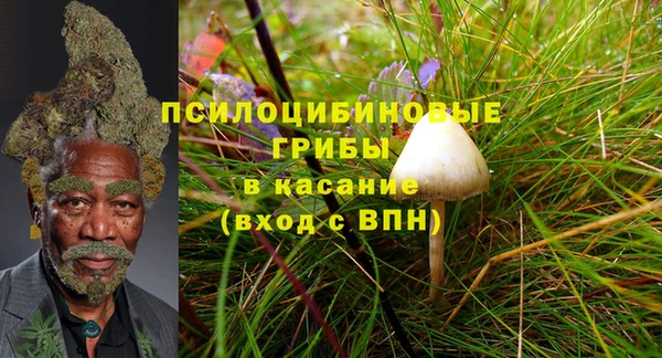 спиды Михайловка
