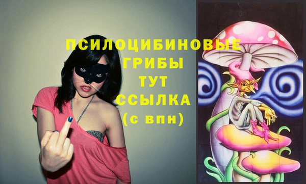 спиды Михайловка