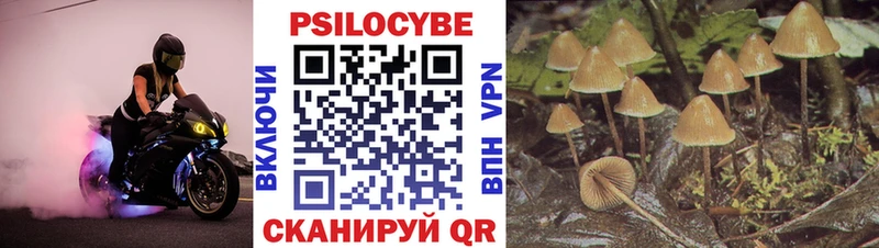 Псилоцибиновые грибы мухоморы Новочебоксарск