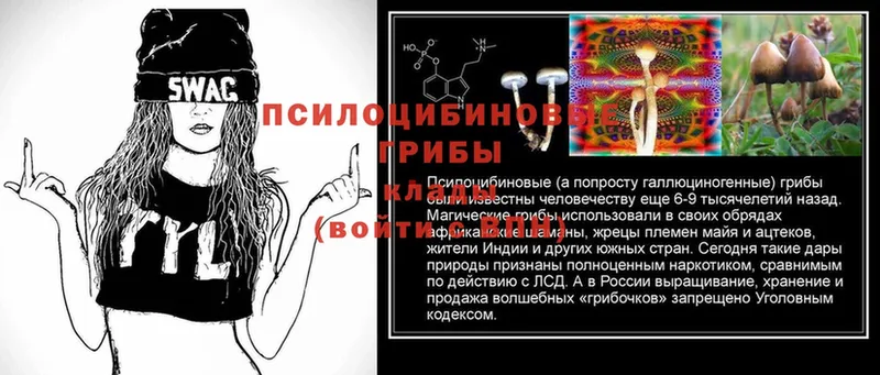 Псилоцибиновые грибы MAGIC MUSHROOMS  Новочебоксарск 