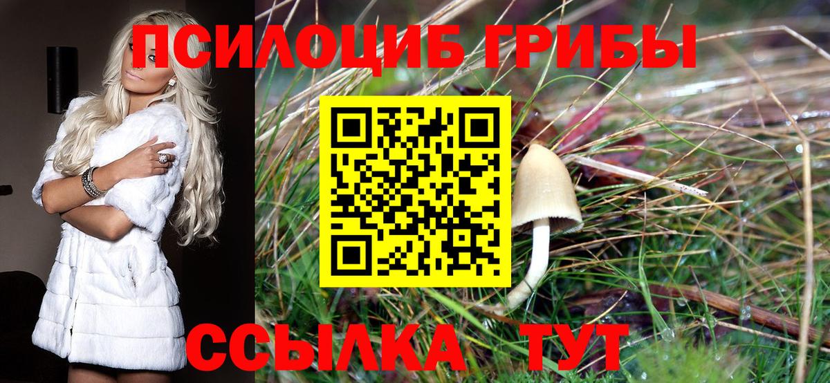 Галлюциногенные грибы прущие грибы Новочебоксарск