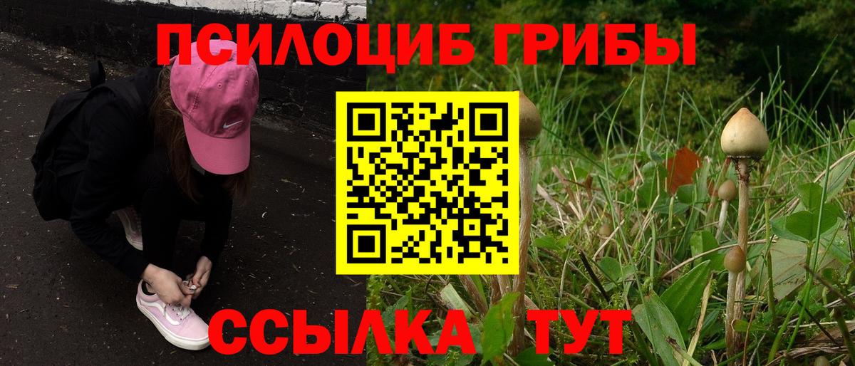 Новочебоксарск  Псилоцибиновые грибы Psilocybe  где продают наркотики  Вход с VPN 