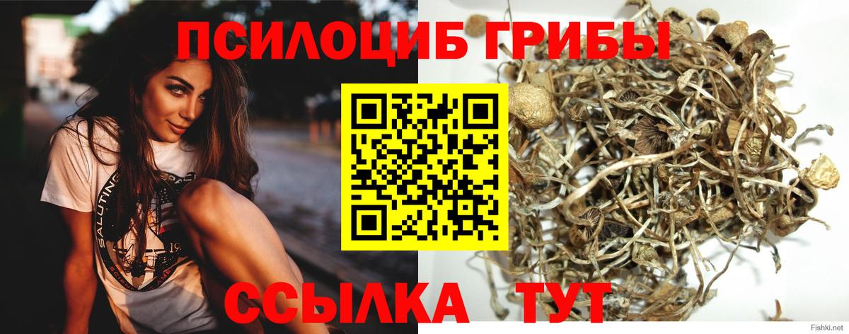 Псилоцибиновые грибы MAGIC MUSHROOMS  Новочебоксарск  Псилоцибиновые грибы MAGIC MUSHROOMS 